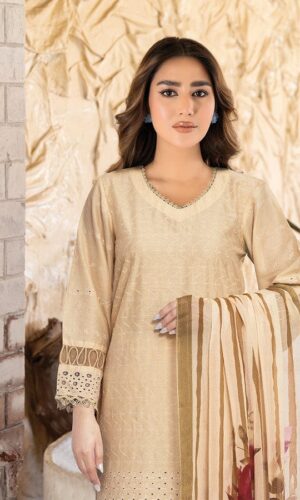 HOME cream to foam lotion